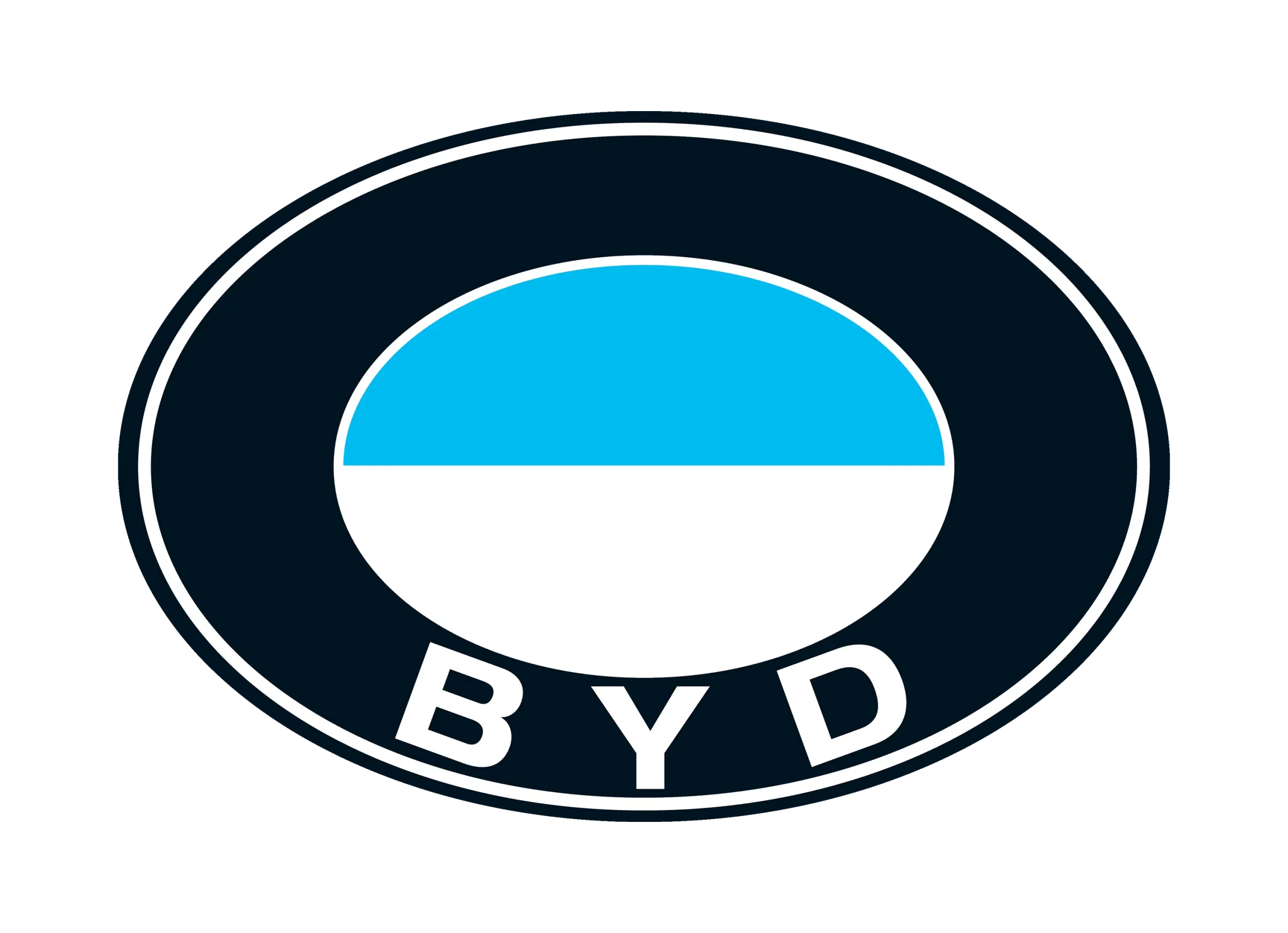 BYD logo 2003-2005